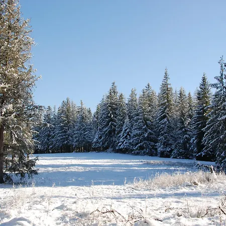 Zespol Dolina Bialego - Pan Tadeusz 3* Zakopane