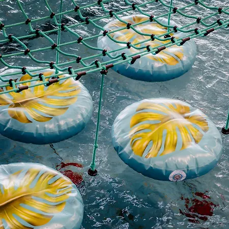 Frühstückspension Zespol Dolina Bialego - Pan Tadeusz Zakopane