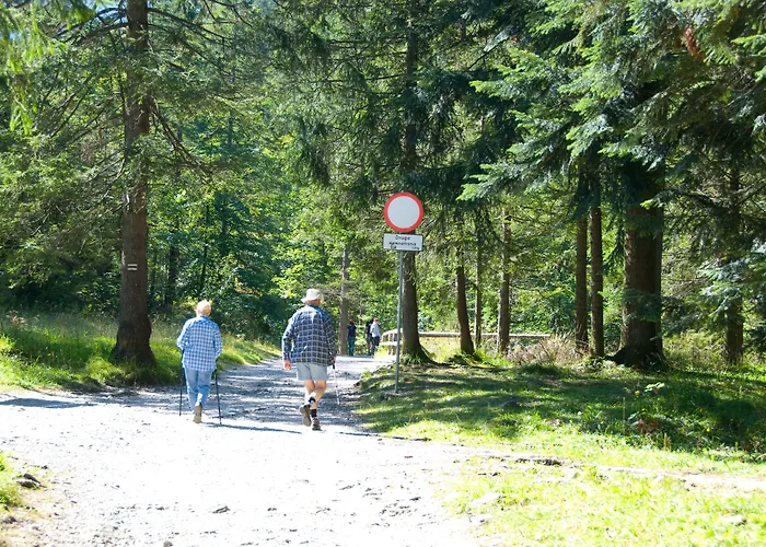 Zespół Dolina Białego - Pan Tadeusz Nocleg ze śniadaniem