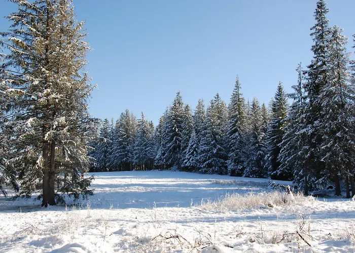 Zespol Dolina Bialego - Pan Tadeusz 3* זקופאנה